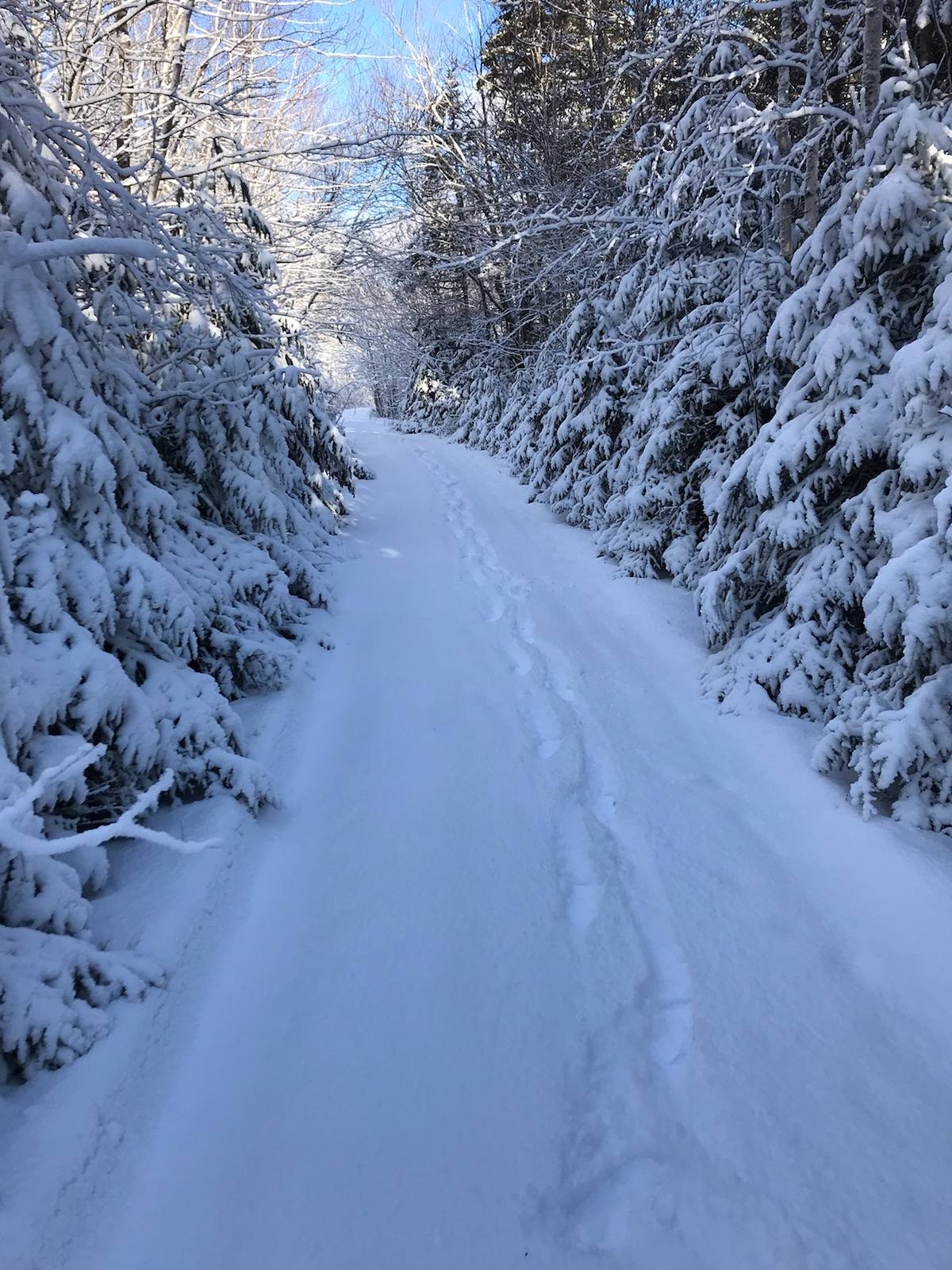 211AeBjfU6MT-walking-trails-TSR