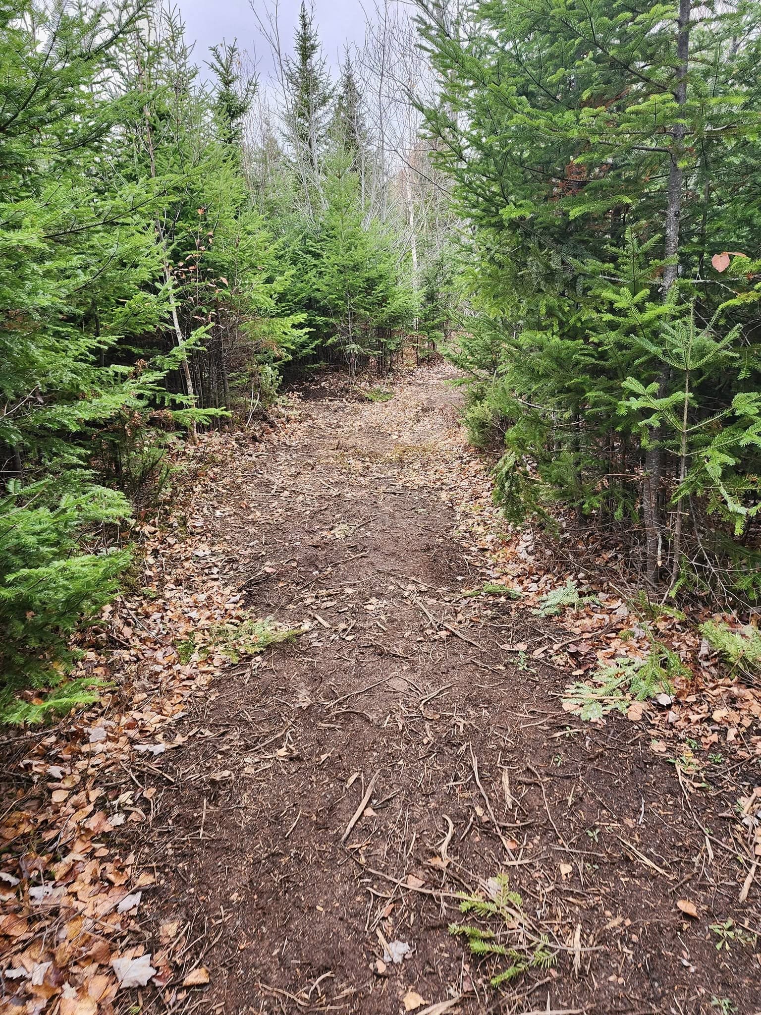 211AeBjfU6MT-walking-trails-TSR