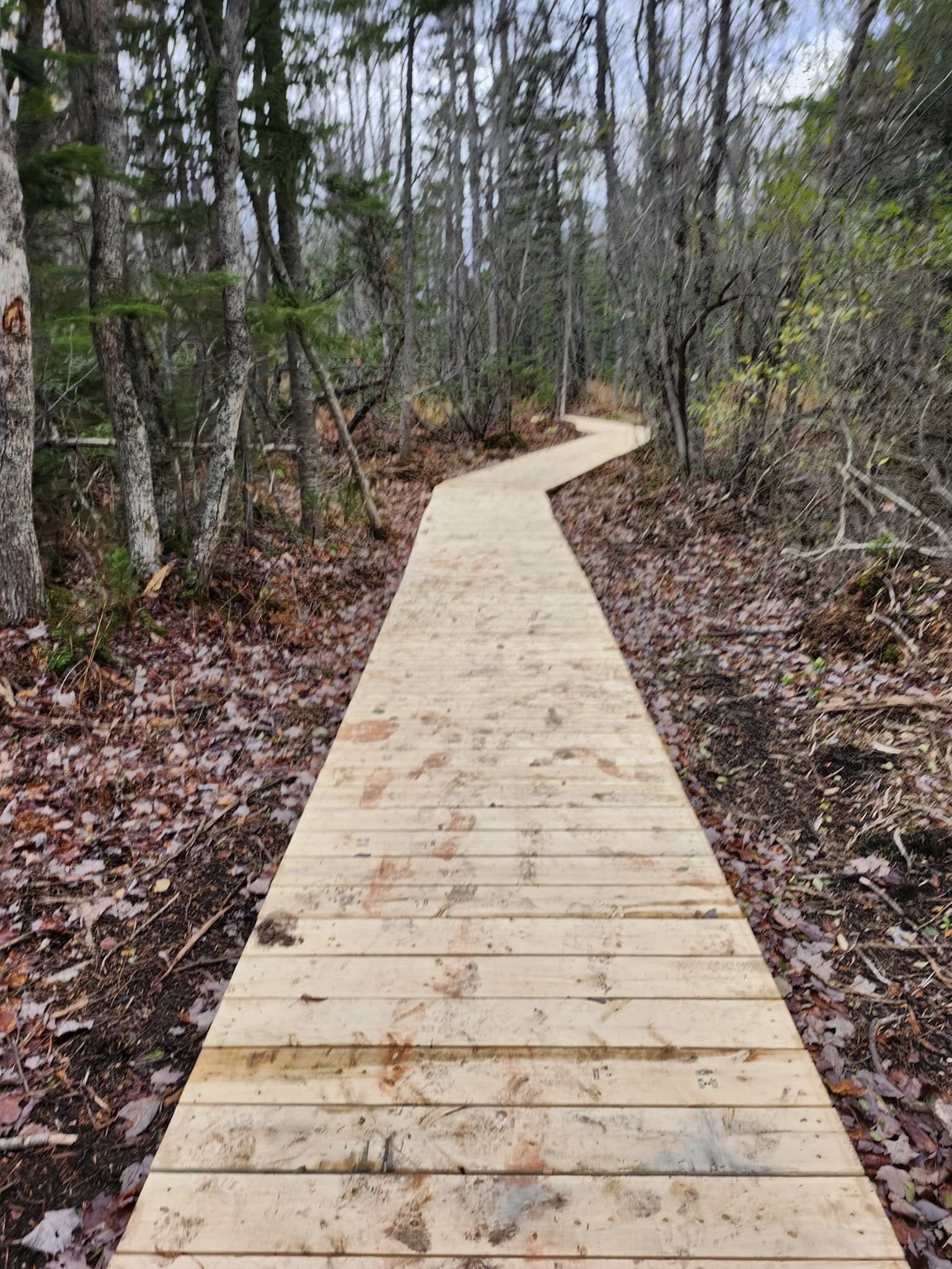 211AeBjfU6MT-walking-trails-TSR